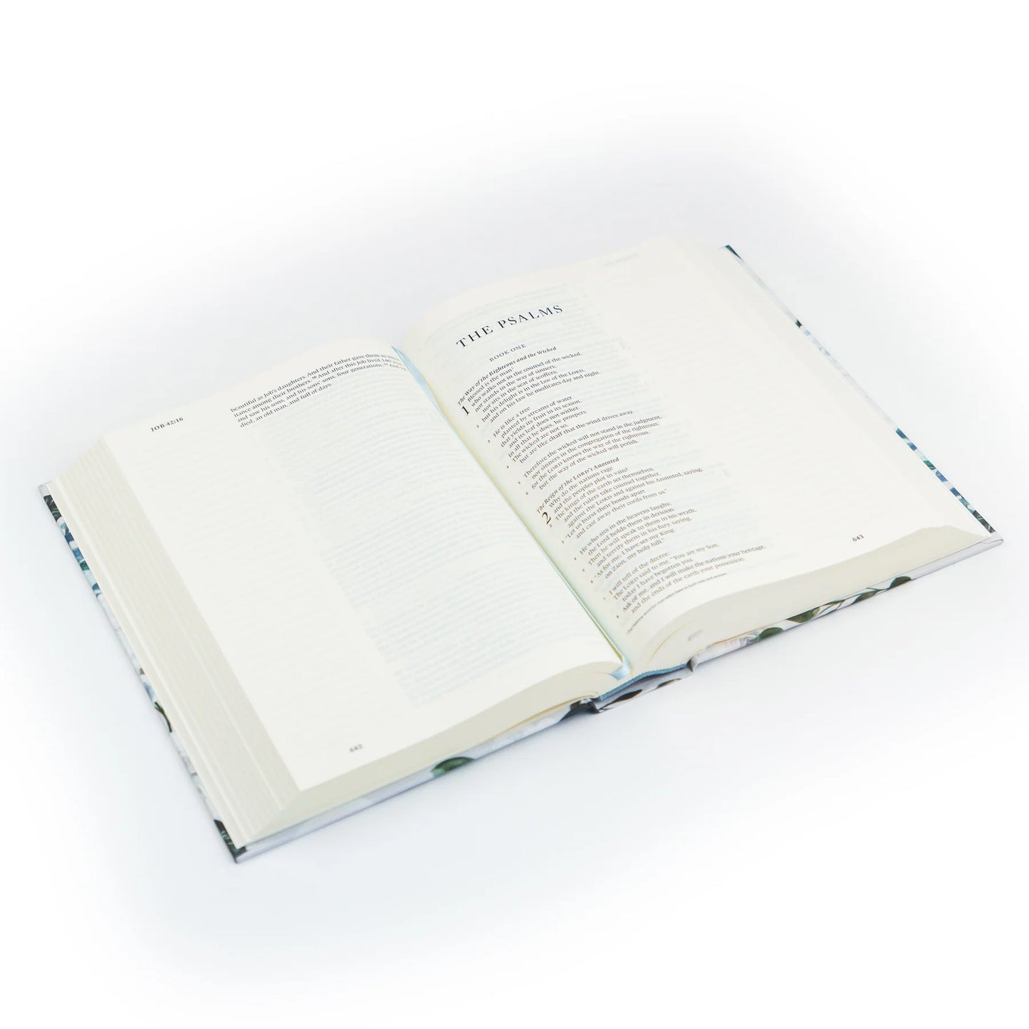 ESV Large Print Journaling Bible: Victoria