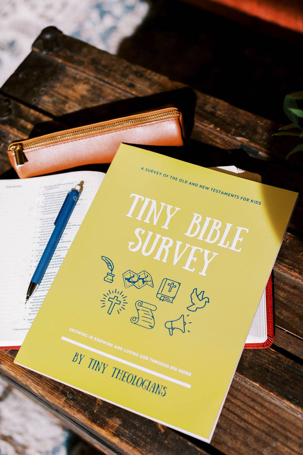 Tiny Bible Survey