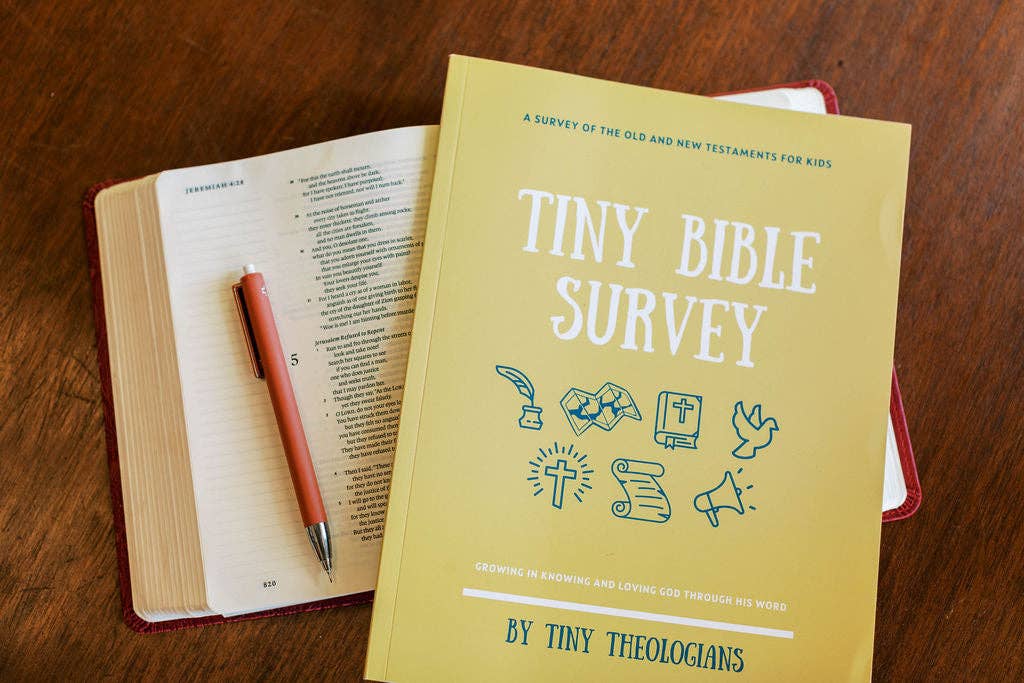Tiny Bible Survey