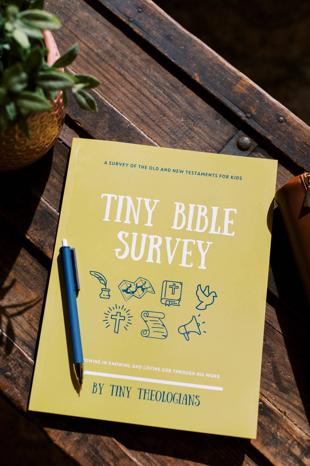 Tiny Bible Survey