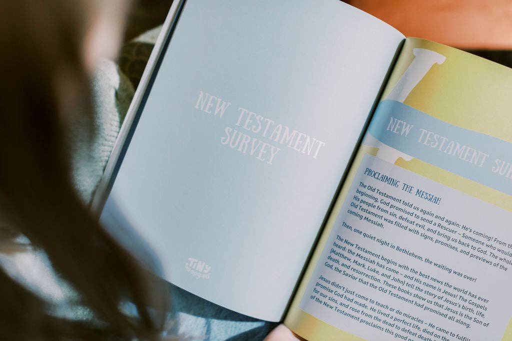 Tiny Bible Survey