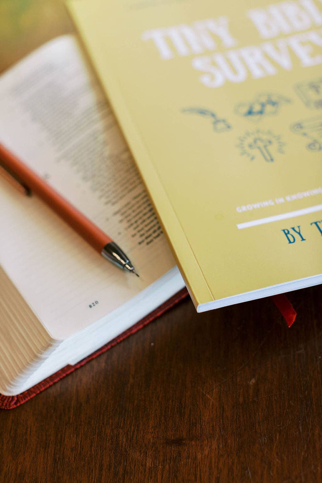 Tiny Bible Survey
