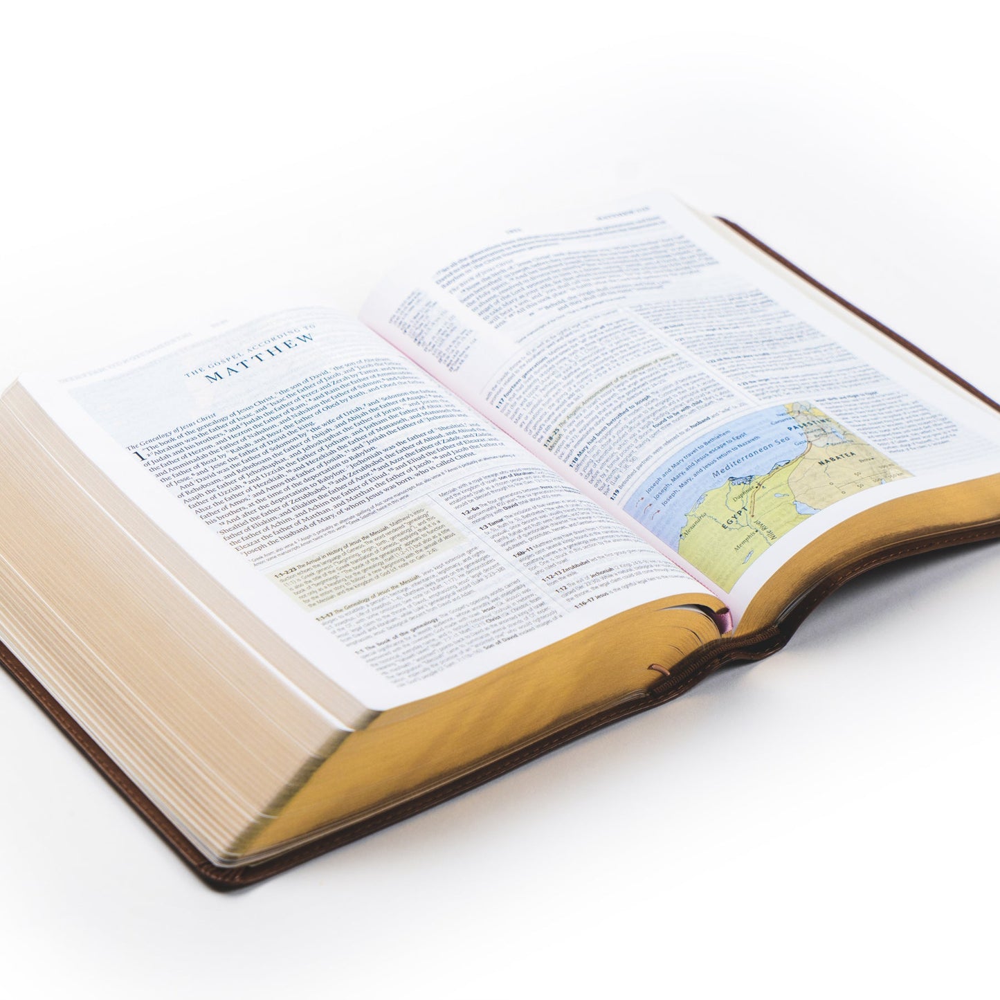 ESV Study Bible: Aurora Theme