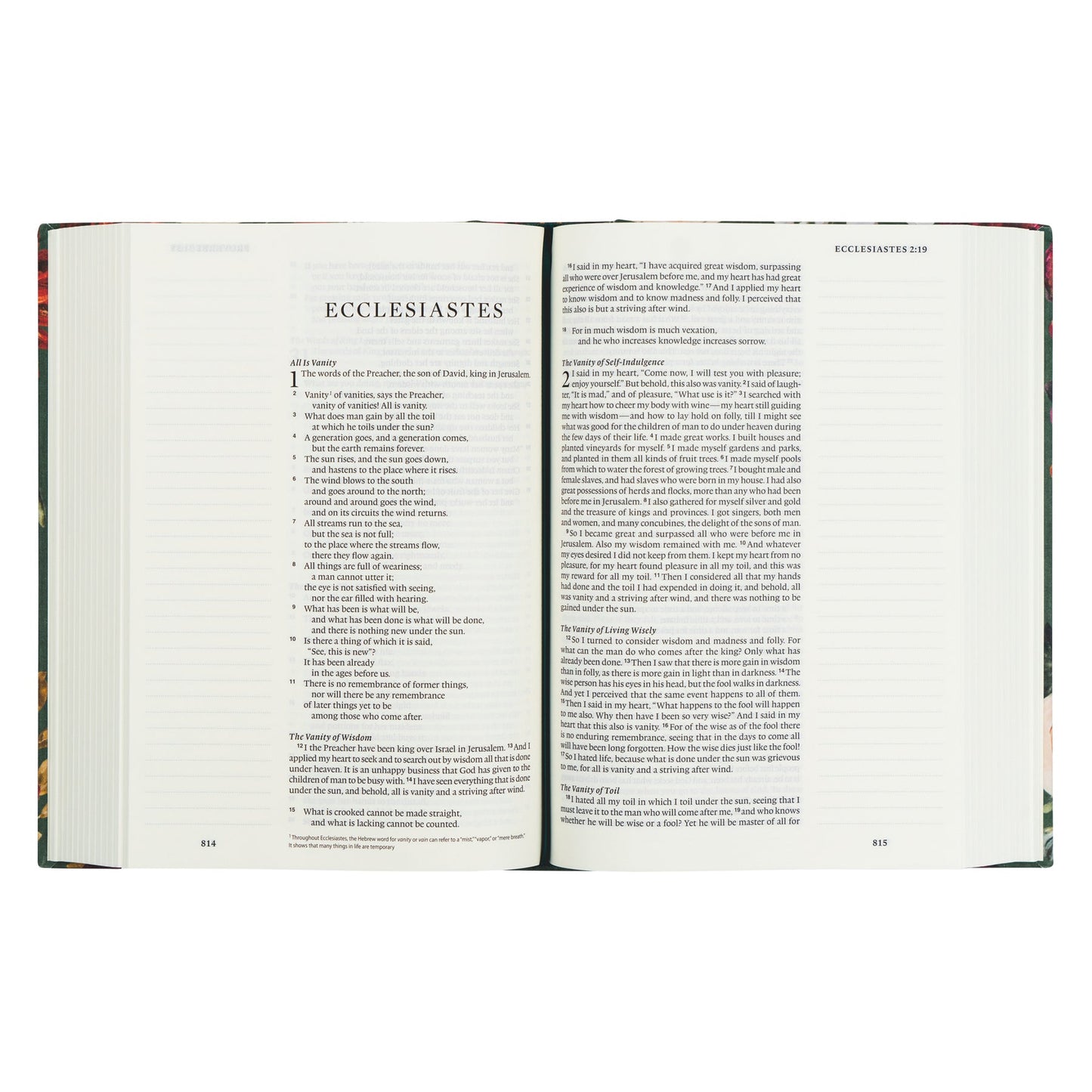 ESV Large Print Journaling Bible: Hollis Theme
