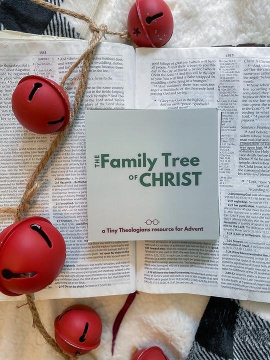 'Family Tree of Christ' Advent Cards